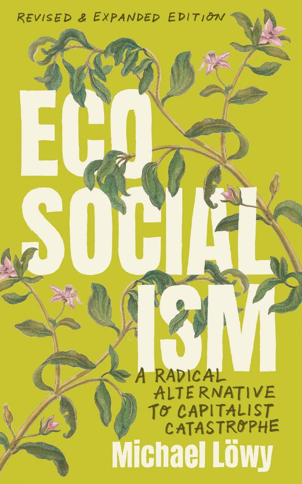 Cover image for Ecosocialism (Revised and Expanded Edition) ISBN 9798888906644